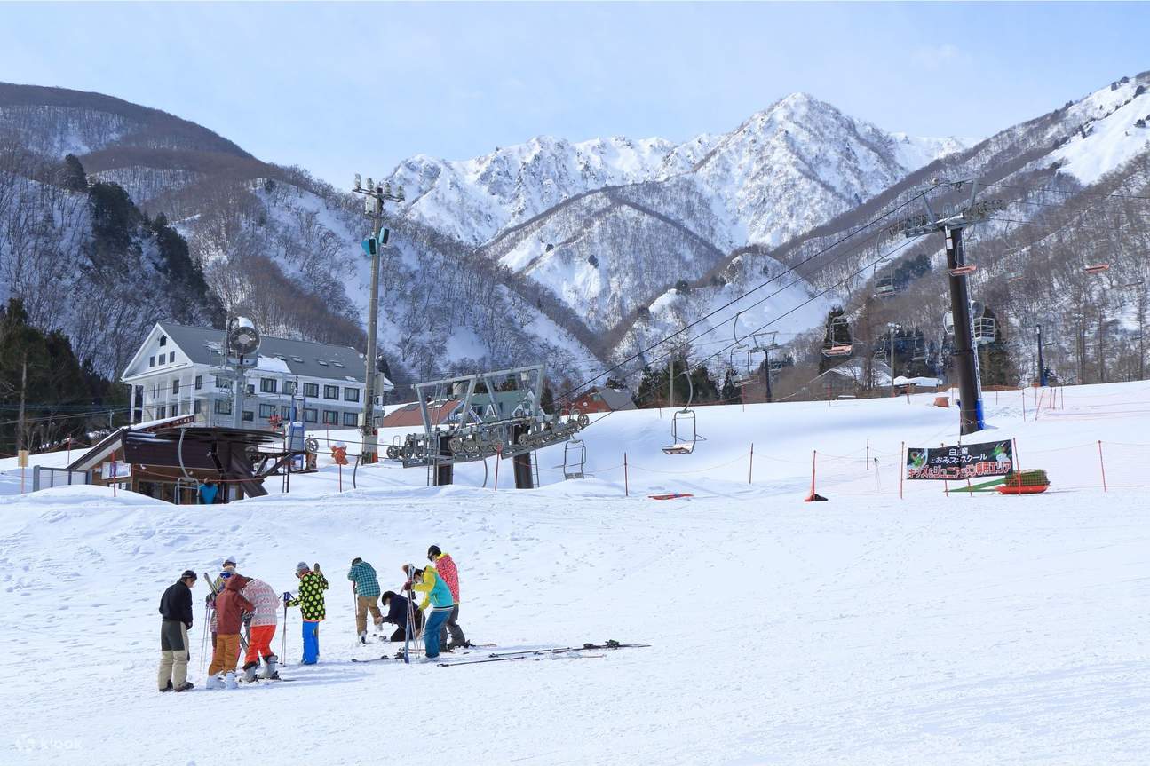 長野白馬五竜 & HAKUBA 47スキー場: 東京往復バス + 共通リフト券 +